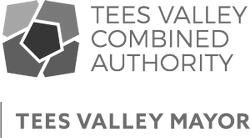 Tees Valley Mayor Logo